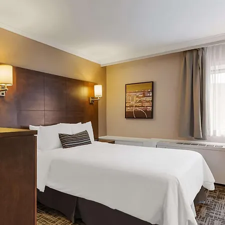Best Western Ville-Marie Hotel & Suites Montreal Exterior photo
